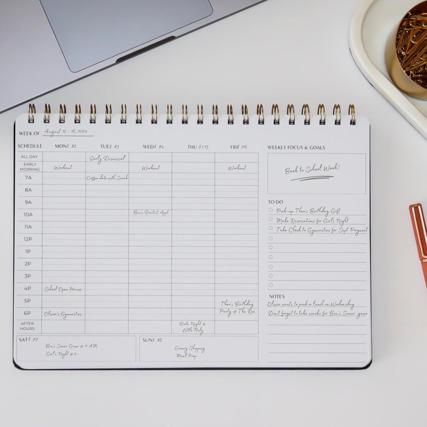 Undated Weekly Schedule | Business Planner | 8.25” x 11.75” ADHD Organizer | Premium Multi-Layout Schedule | Evergreen | Landscape Layout