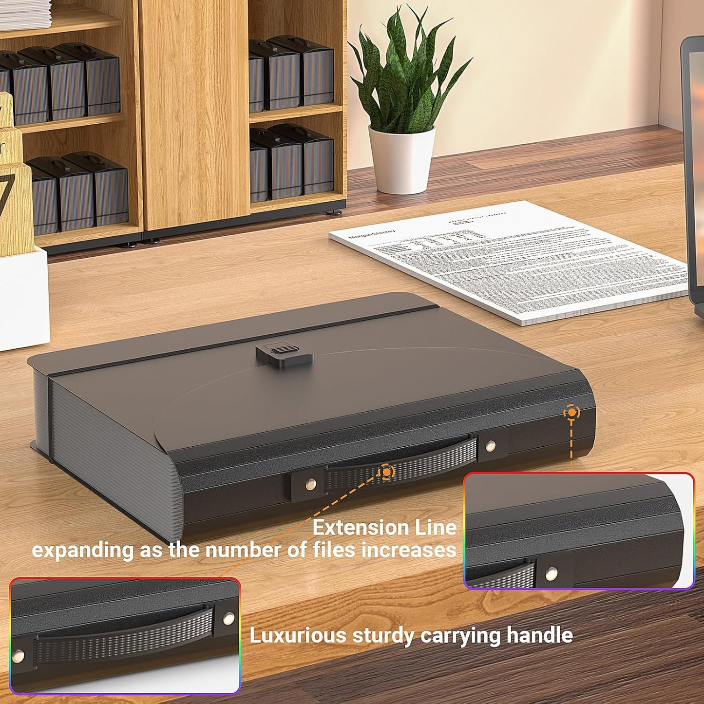 25 Pockets Expanding File Folders,Accordion File Organizer,Portable Filing Box with Plastic Handle,Expandable File Folder,Monthly Bill Receipt Paper and Document Organizer,Colored Tabs,A4/Letter Size