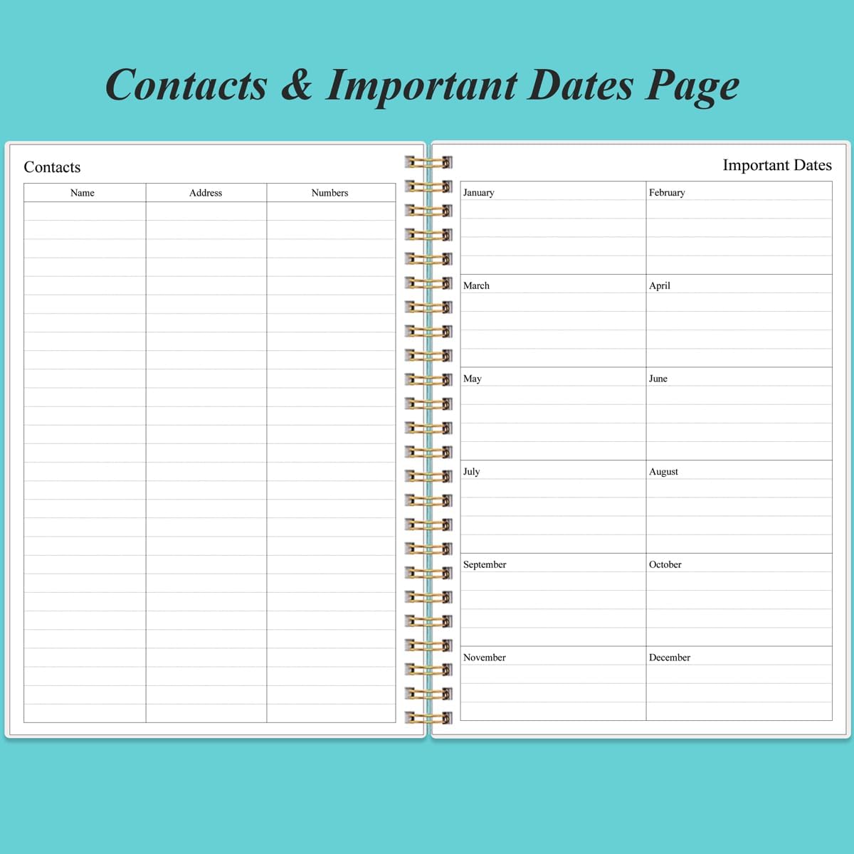 Daily Planner Undated - B5 To Do List Notebook Hourly Schedules, Spiral Appointment Planner for Women and Men, PVC Hardcover, Inner Pocket, Elastic Closure, 7" x 10", Teal Flowers