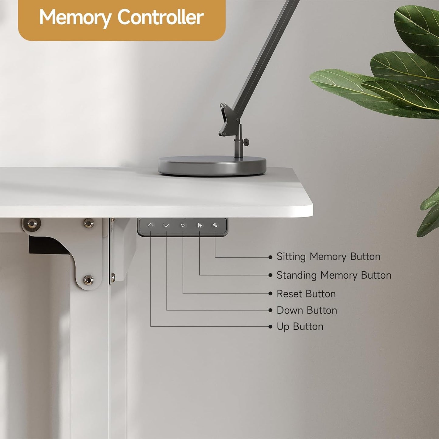 Standing Desk, 63x30 Inches Rectangle Stand Up Desk with 4 Legs, Dual Motor and Memory Controller, Adjustable Height from 28-46 Inches for Home and Computer Workstation, White