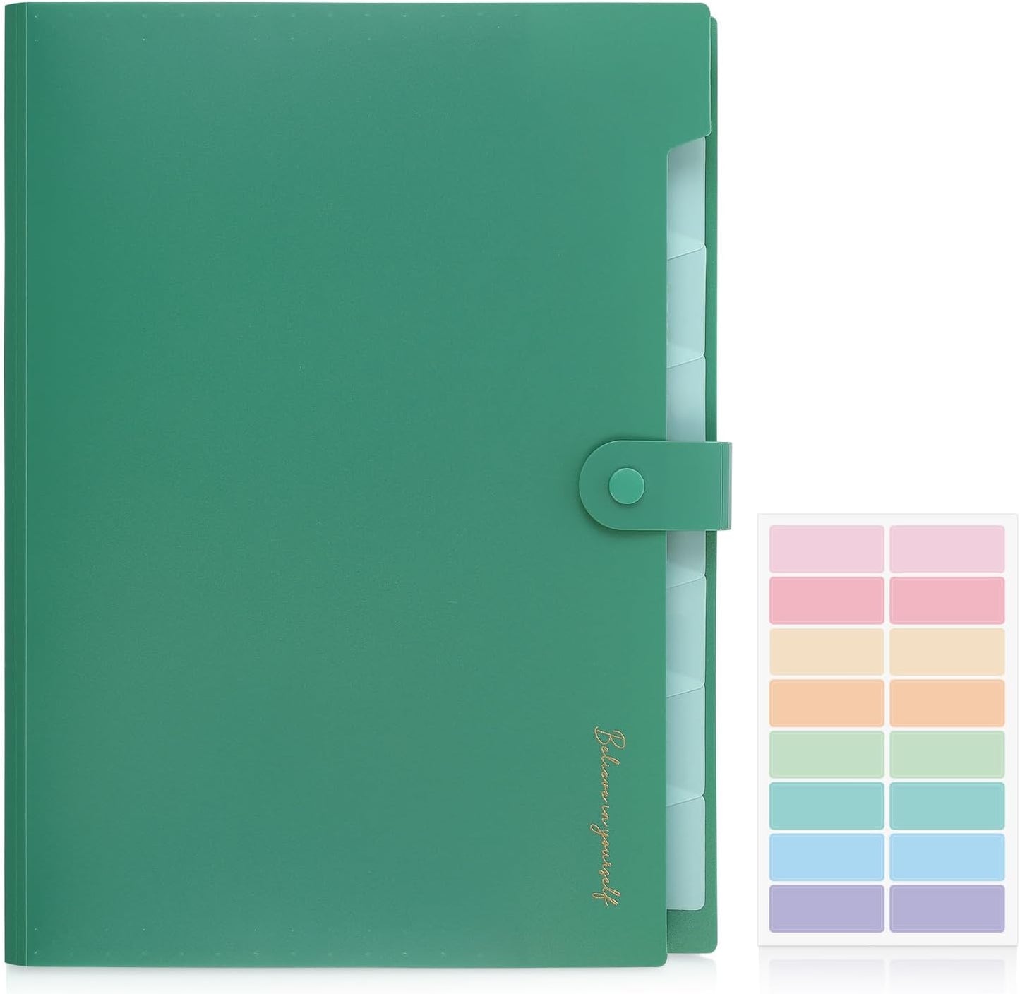 SKYDUE Expanding File Folder, Accordion File Organizer with 8 Pocket & Inner Card Pocket, Expandable Document Paper Receipt Holder for School Office Hospital, Letter/A4 Size Green