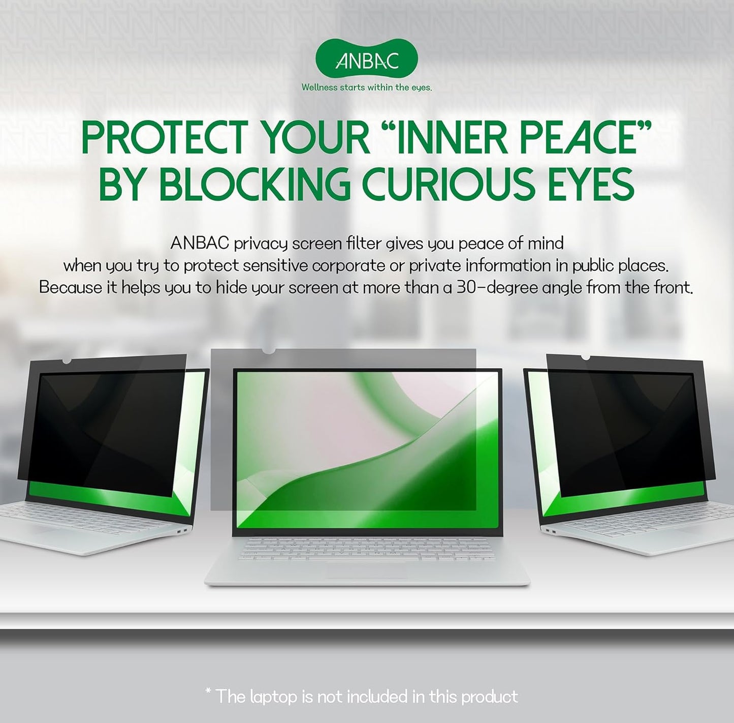 17 Inch Laptop Privacy Screen Shield for 16:10 Wide Display - Anti Glare Computer Privacy Screen Cover/Blue Light Blocking Screen Protector/Scratch Resistant UV Filter/Attachment Type