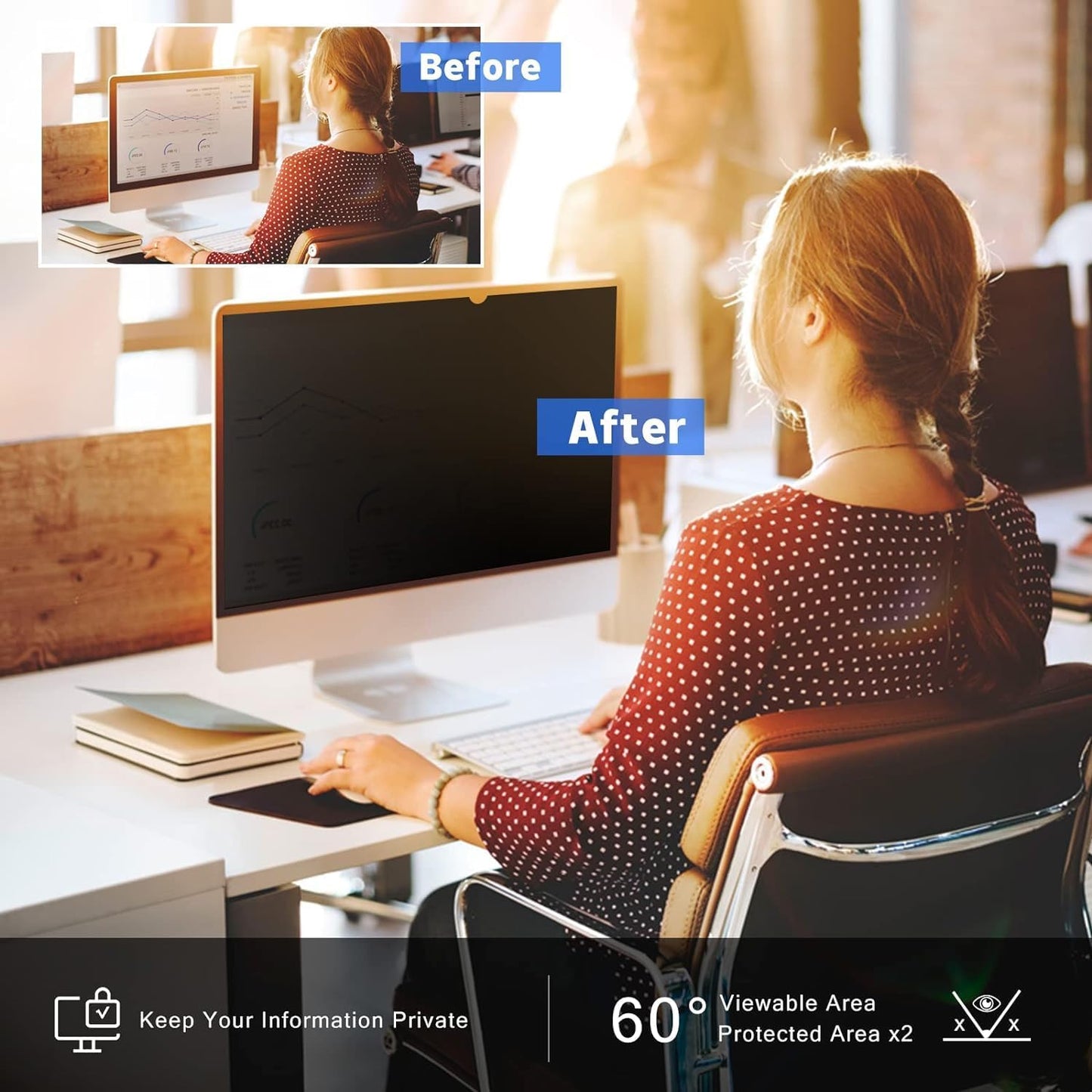 22 Inch 16:9 Computer Privacy Screen Filter for Monitor - Privacy Shield and Anti-Glare Protector