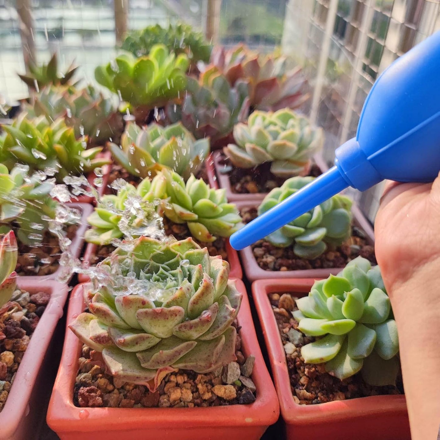 Medsuo 2pcs Air Blower with Soft Brush Manual Rubber Bulb Air Pump Dust Blower Cleaner for Camera Microscopes Telescope Eyepieces Guitars Filters Keyboards Records Cell Phones and Succulents