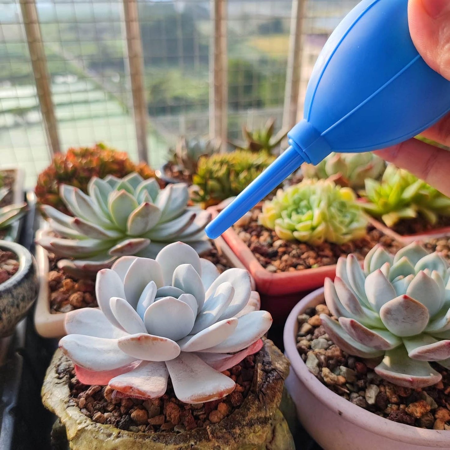 Medsuo 2pcs Air Blower with Soft Brush Manual Rubber Bulb Air Pump Dust Blower Cleaner for Camera Microscopes Telescope Eyepieces Guitars Filters Keyboards Records Cell Phones and Succulents