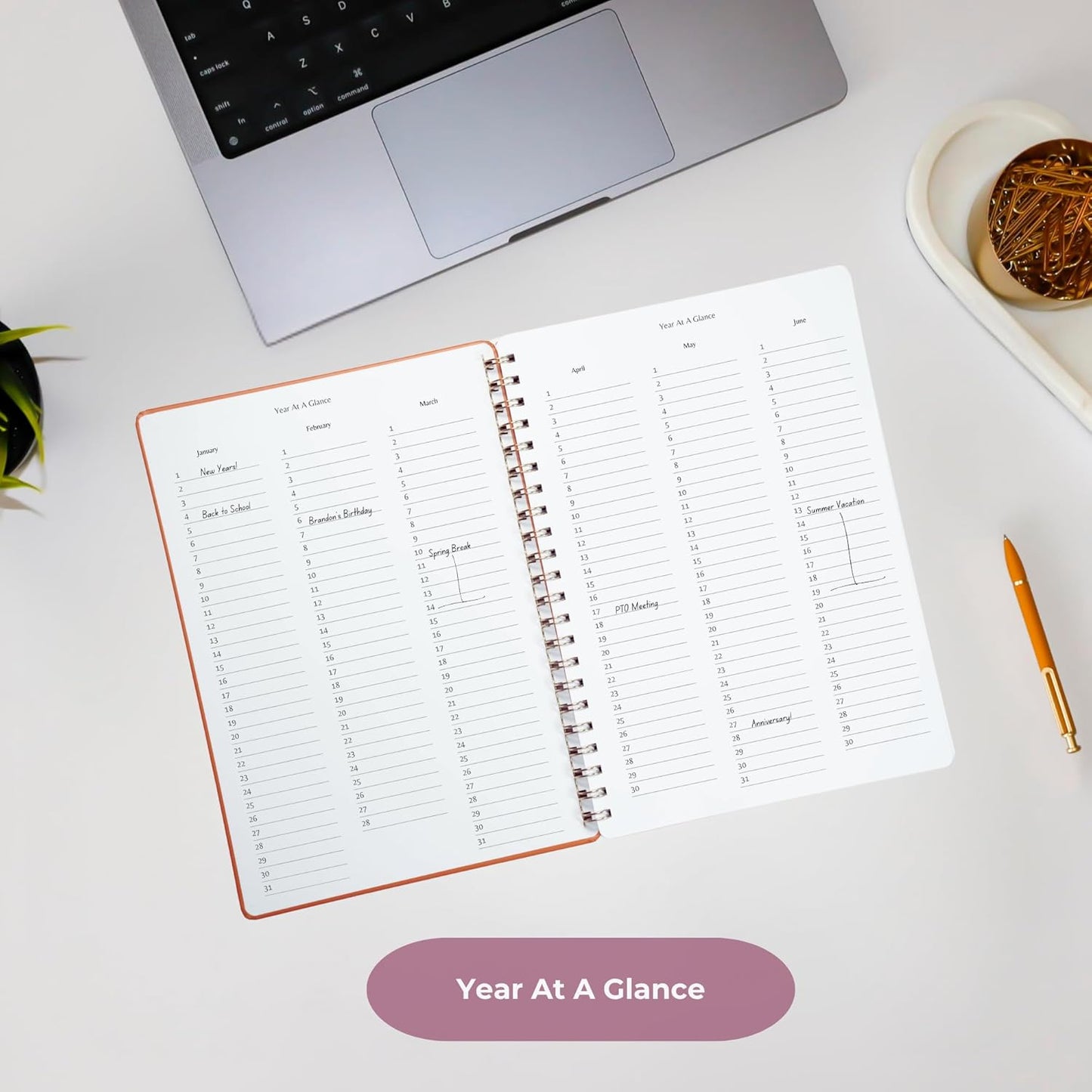 | Ultimate Yearly, Daily, Weekly, Monthly Planner | 8.25" x 11.75" | To Do List Notebook for Work | Simple Design | Multiple Layouts | Academic Planner and Organizer Notebook (Navy, Yearly Planner - Portrait)