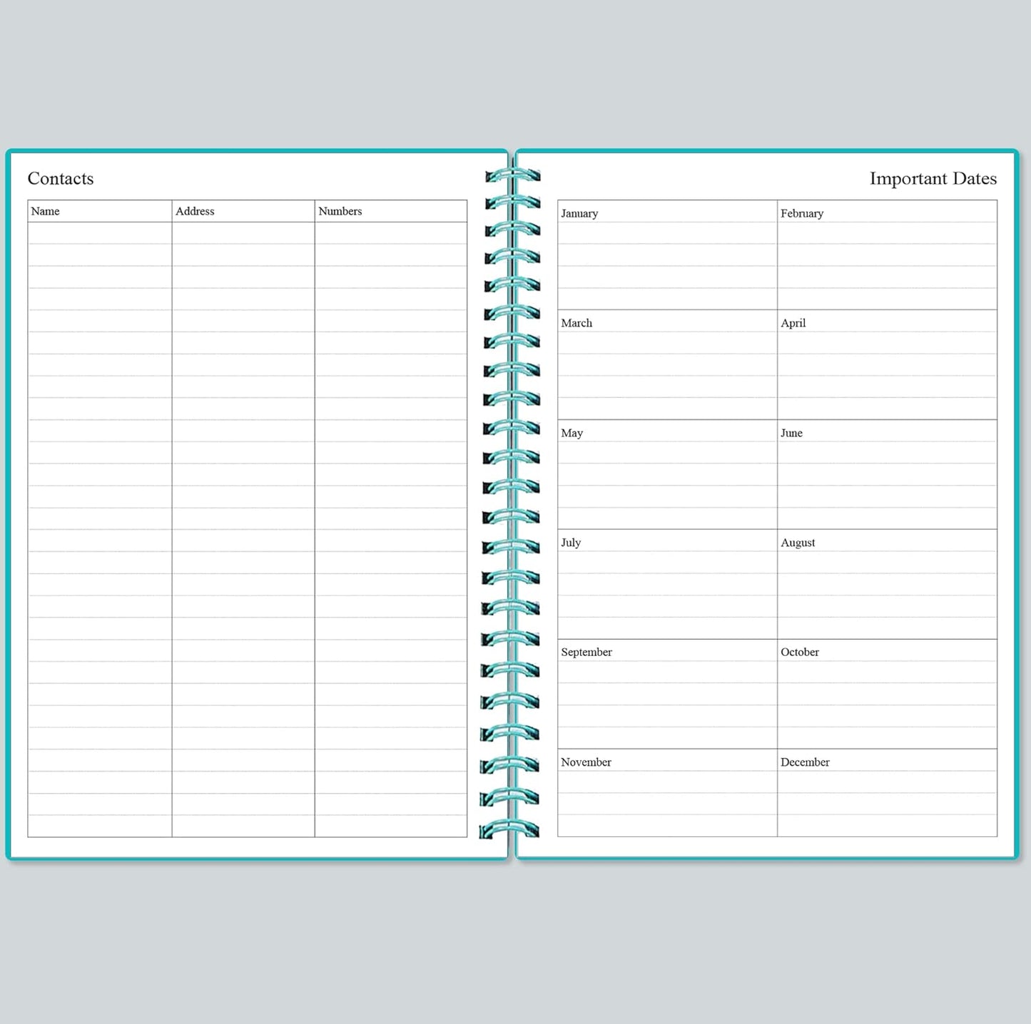 Daily Planner Undated - A5 To Do List Notebook Hourly Schedules, Spiral Appointment Planner for Women and Men, PVC Hardcover, Inner Pocket, Elastic Closure, 5.8" x 8.3", Teal