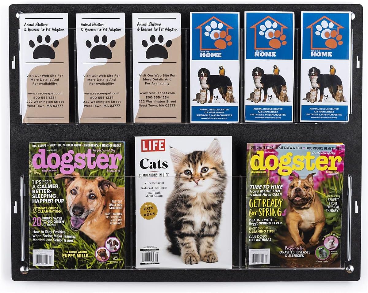 Displays2go Tiered Brochure Rack for Wall, 6-12 Adjustable Pockets, Frameless Acrylic - Black (2RP6BLK)